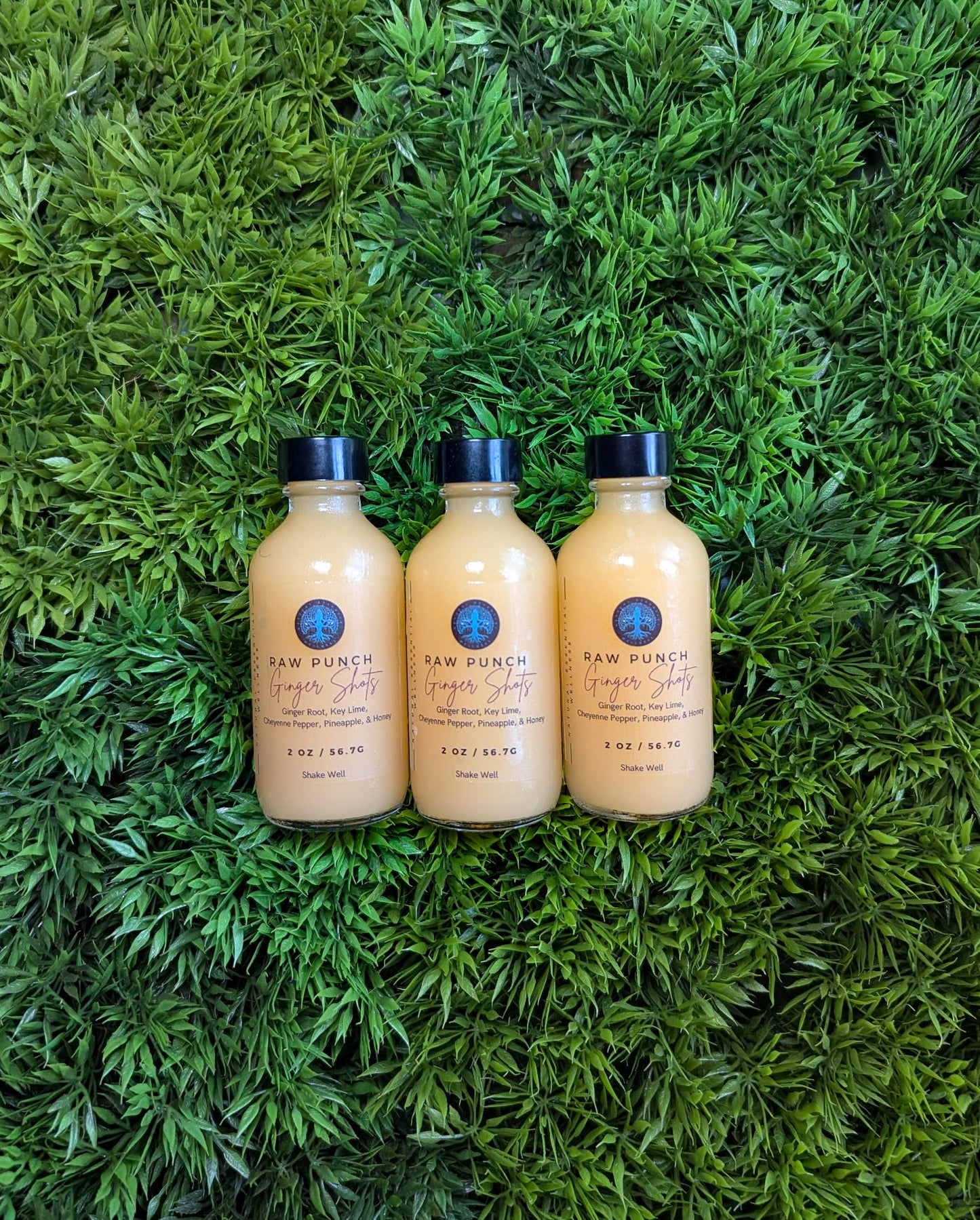 Raw Punch Ginger Shots