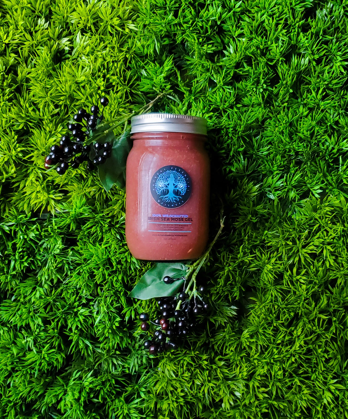 Elderberry Mint Chia Irish Sea Moss Gel
